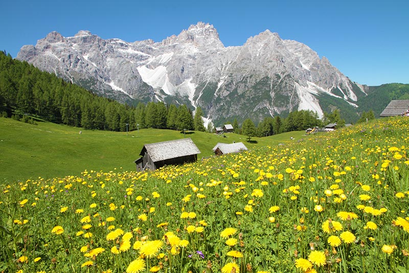 Prati di Croda Rossa